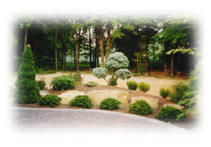 Home Page Picture